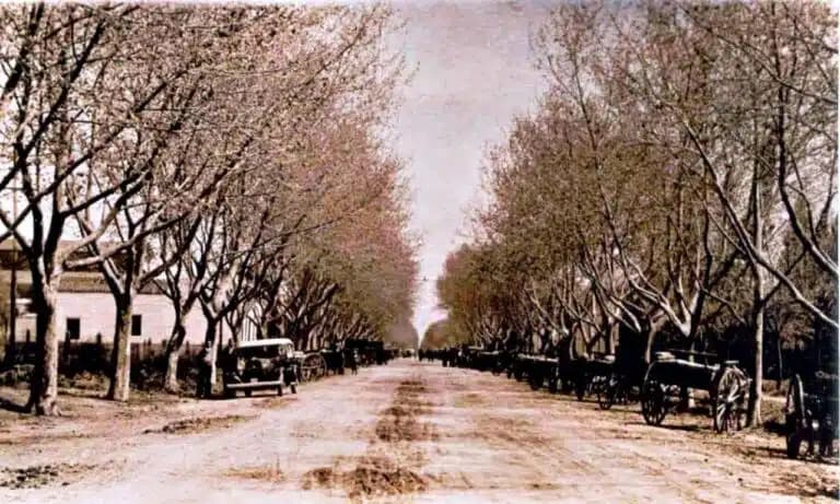 Fotografía antigua de la avenida de los plátanos con carros y un automóvil